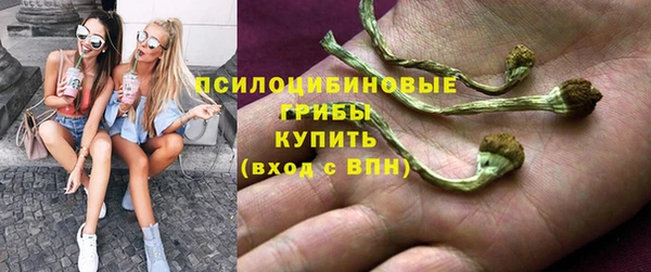 амф Баксан